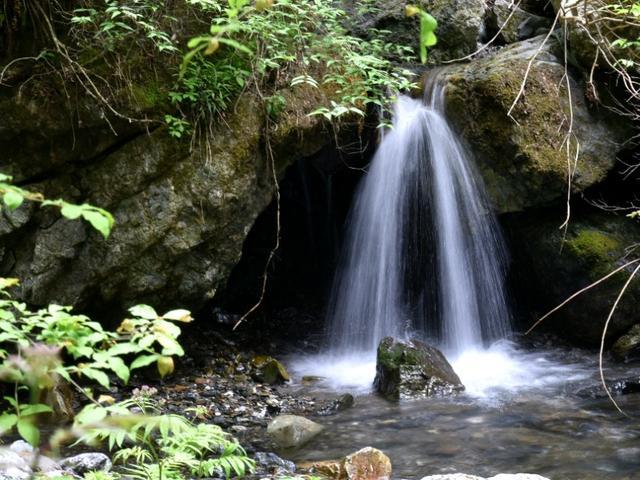 唐山丰南:多方“廉”动 厚植清廉文化